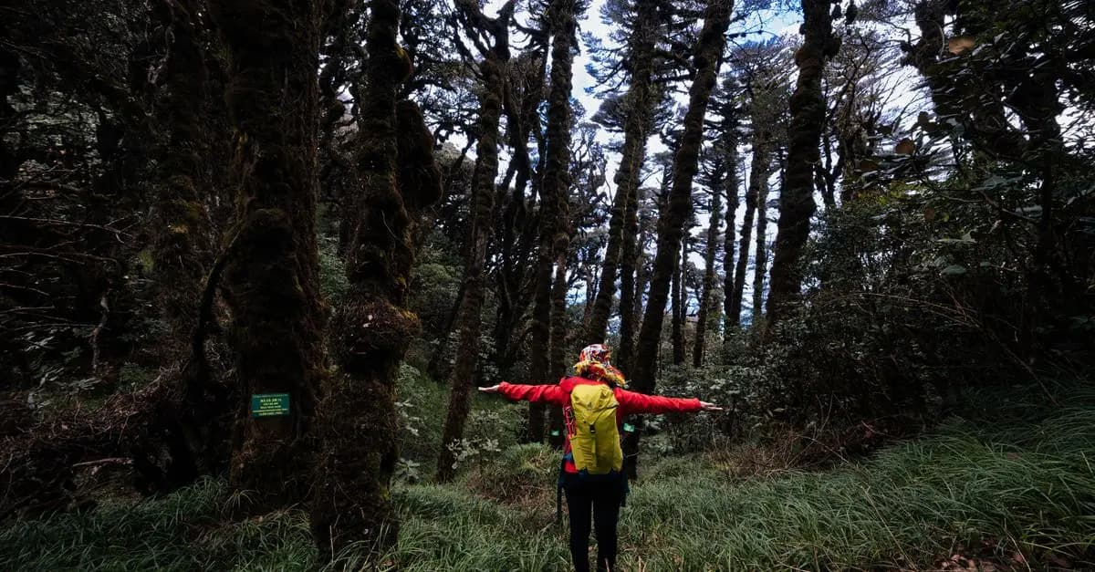 10 Essential Tips for Finding Unique Trip Discoveries