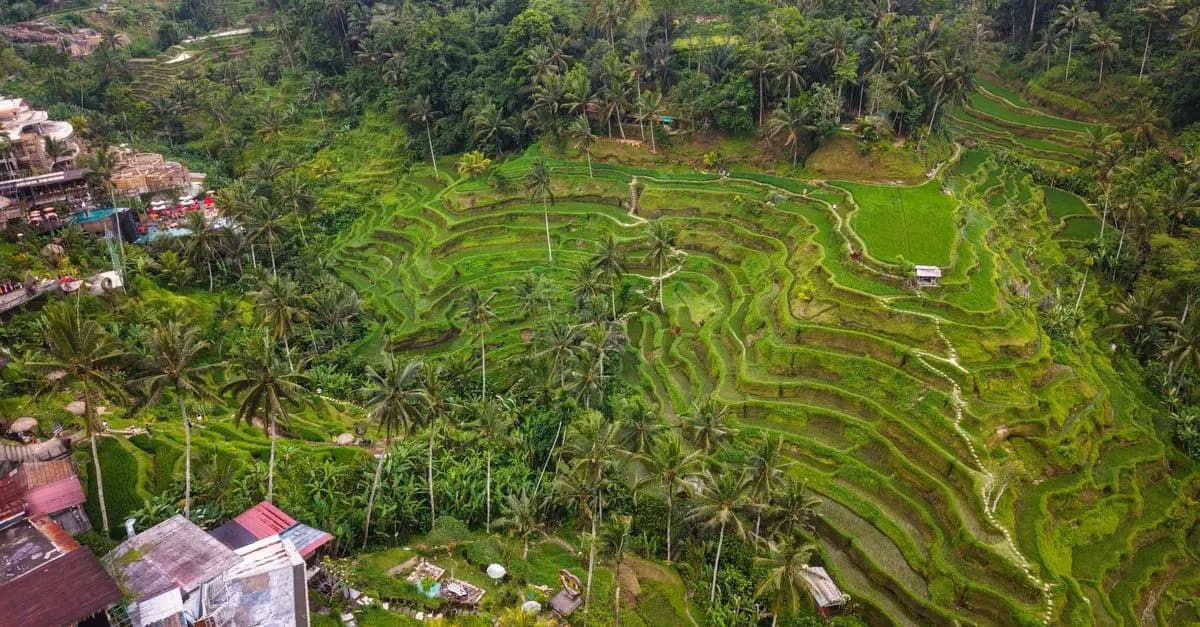 10 Essential Tips for Discovering Unique Travel Experiences
