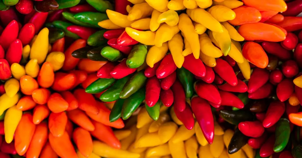 Culinary Tours: An Experience to Remember
